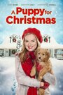 Щенок на Рождество (2016) кадры фильма смотреть онлайн в хорошем качестве