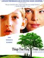 Вещи, которые висят в лесу (2006) кадры фильма смотреть онлайн в хорошем качестве