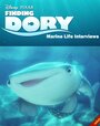 В поисках Дори: Интервью о морской жизни (2016) кадры фильма смотреть онлайн в хорошем качестве