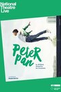 Смотреть «Питер Пэн» онлайн фильм в хорошем качестве