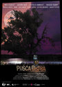 Pusca Bistra (2005) трейлер фильма в хорошем качестве 1080p