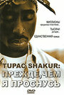Смотреть «Tupac Shakur: Прежде, чем я проснусь» онлайн фильм в хорошем качестве