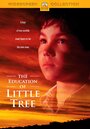 Приключения маленького индейца (1997) скачать бесплатно в хорошем качестве без регистрации и смс 1080p