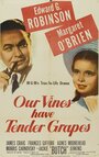 У нас растет нежный виноград (1945) кадры фильма смотреть онлайн в хорошем качестве