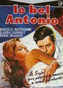 Красавчик Антонио (1960) кадры фильма смотреть онлайн в хорошем качестве