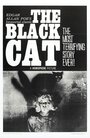 Смотреть «Черный кот» онлайн фильм в хорошем качестве