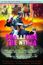 Challenge of the Ninja (1989) скачать бесплатно в хорошем качестве без регистрации и смс 1080p