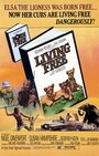 Живущие свободными (1972) кадры фильма смотреть онлайн в хорошем качестве