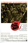 The Cool Ones (1967) кадры фильма смотреть онлайн в хорошем качестве
