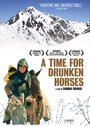 Время пьяных лошадей (2000) кадры фильма смотреть онлайн в хорошем качестве