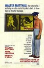 Тайная жизнь американской жены (1968) трейлер фильма в хорошем качестве 1080p