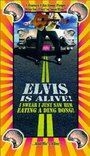 Elvis Is Alive! I Swear I Saw Him Eating Ding Dongs Outside the Piggly Wiggly's (1998) скачать бесплатно в хорошем качестве без регистрации и смс 1080p