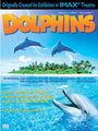 Дельфины (2000) скачать бесплатно в хорошем качестве без регистрации и смс 1080p