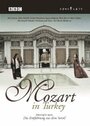 Смотреть «Mozart in Turkey» онлайн фильм в хорошем качестве