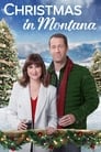Рождество в Монтане (2019) скачать бесплатно в хорошем качестве без регистрации и смс 1080p