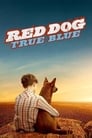 Смотреть «Рыжий пес: Самый верный» онлайн фильм в хорошем качестве