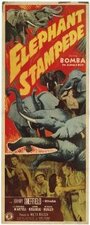 Elephant Stampede (1951) скачать бесплатно в хорошем качестве без регистрации и смс 1080p