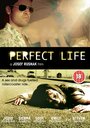 Идеальная жизнь (2010) скачать бесплатно в хорошем качестве без регистрации и смс 1080p
