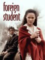 Иностранный студент (1994) кадры фильма смотреть онлайн в хорошем качестве