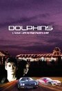 Дельфины (2007) кадры фильма смотреть онлайн в хорошем качестве