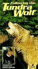 Following the Tundra Wolf (1974) скачать бесплатно в хорошем качестве без регистрации и смс 1080p