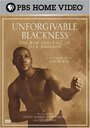 Смотреть «Непростительная чернота: Взлеты и падения Джека Джонсона» онлайн фильм в хорошем качестве