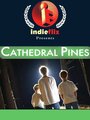 Cathedral Pines (2006) трейлер фильма в хорошем качестве 1080p