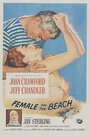 Женщина на пляже (1955) скачать бесплатно в хорошем качестве без регистрации и смс 1080p