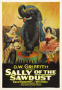 Смотреть «Салли из опилок» онлайн фильм в хорошем качестве