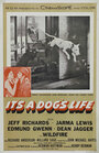 Смотреть «It's a Dog's Life» онлайн фильм в хорошем качестве
