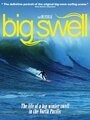 Смотреть «The Big Swell» онлайн фильм в хорошем качестве