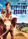 Великий побег слонов (1995) кадры фильма смотреть онлайн в хорошем качестве