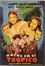 Одна ночь в тропиках (1940) скачать бесплатно в хорошем качестве без регистрации и смс 1080p