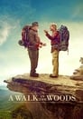 Прогулка по лесам (2015) трейлер фильма в хорошем качестве 1080p