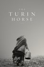Туринская лошадь (2011) кадры фильма смотреть онлайн в хорошем качестве