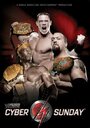 WWE: Кибер воскресенье (2006) трейлер фильма в хорошем качестве 1080p