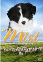 Смотреть «Mist: The Tale of a Sheepdog Puppy» онлайн фильм в хорошем качестве