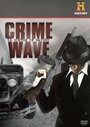Crime Wave: 18 Months of Mayhem (2008) скачать бесплатно в хорошем качестве без регистрации и смс 1080p