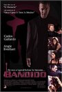 Бандит (2004) трейлер фильма в хорошем качестве 1080p