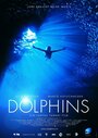 Дельфины (1999) кадры фильма смотреть онлайн в хорошем качестве