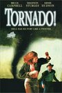 Торнадо (1996) трейлер фильма в хорошем качестве 1080p