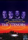 Три тенора. Концерт 1994 (1994) скачать бесплатно в хорошем качестве без регистрации и смс 1080p