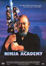 Смотреть «Академия ниндзя» онлайн фильм в хорошем качестве