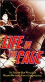 Life in the Cage (2001) кадры фильма смотреть онлайн в хорошем качестве