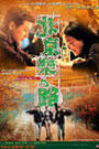 Смотреть «Пекинский рок» онлайн фильм в хорошем качестве