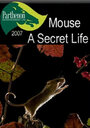 Тайная жизнь мышей (2007) трейлер фильма в хорошем качестве 1080p