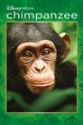 Шимпанзе (2012) трейлер фильма в хорошем качестве 1080p
