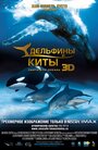Дельфины и киты 3D (2008) трейлер фильма в хорошем качестве 1080p