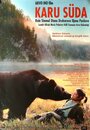 Смотреть «Сердце медведицы» онлайн фильм в хорошем качестве