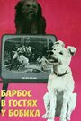 Барбос в гостях у Бобика (1964) трейлер фильма в хорошем качестве 1080p